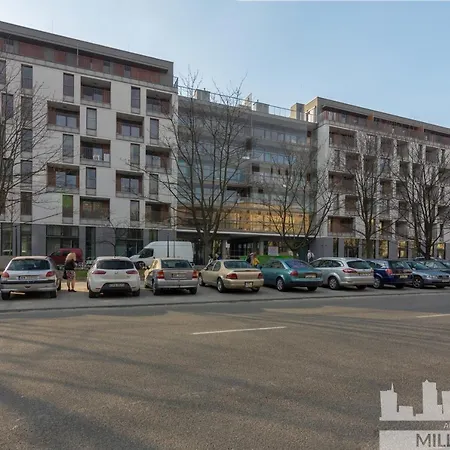 Millennium Awangarda Grey *